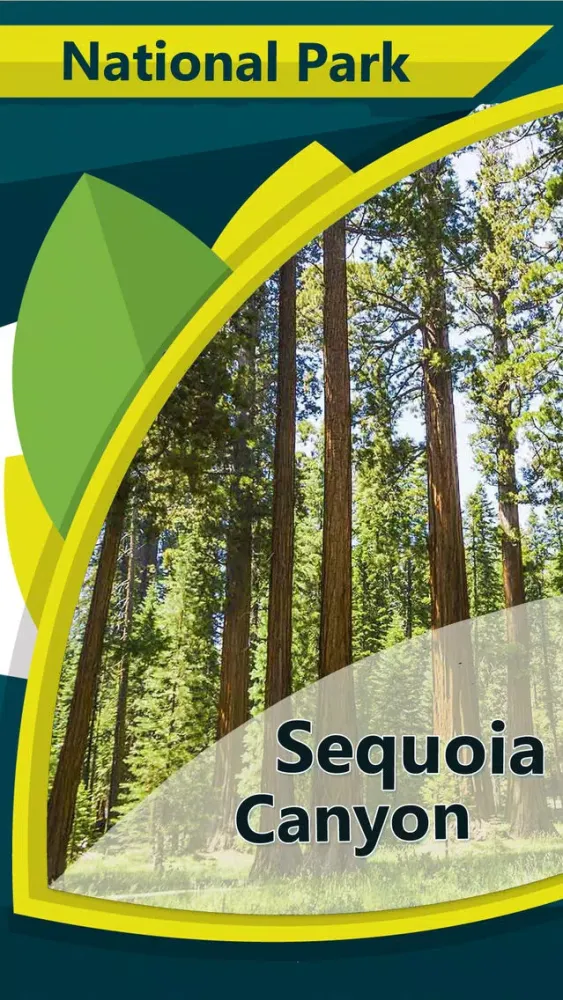 Sequoia Canyon N.Park スクリーンショット