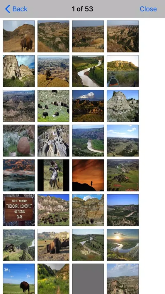 صور Theodore Roosevelt - N.Park