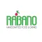 Rabano Official