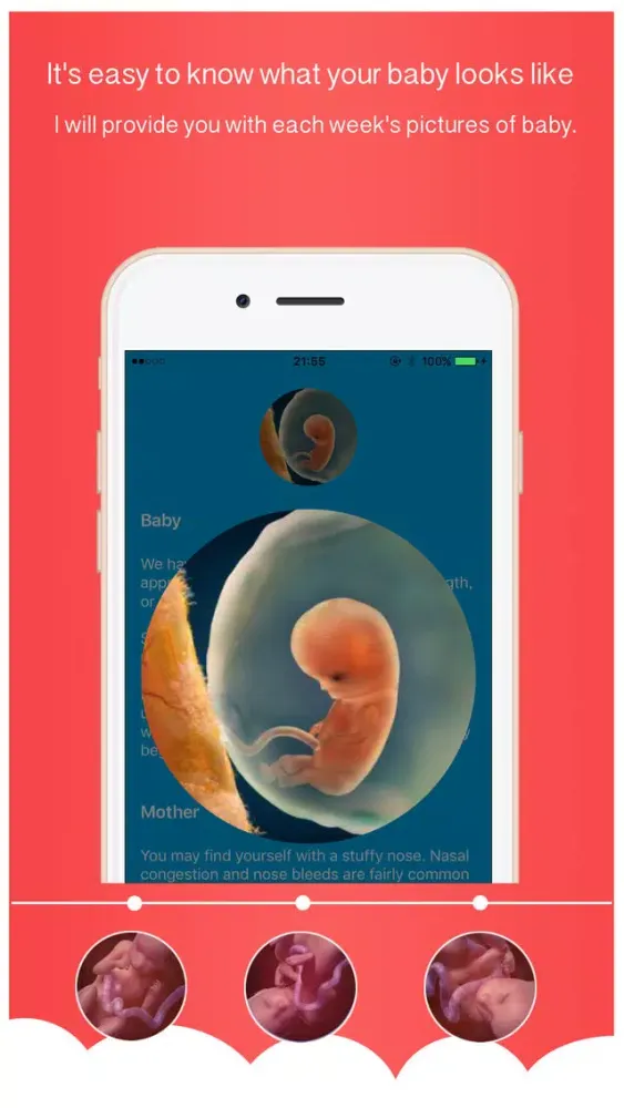 Скриншоты Hava a Baby - Your pregnancy assistant