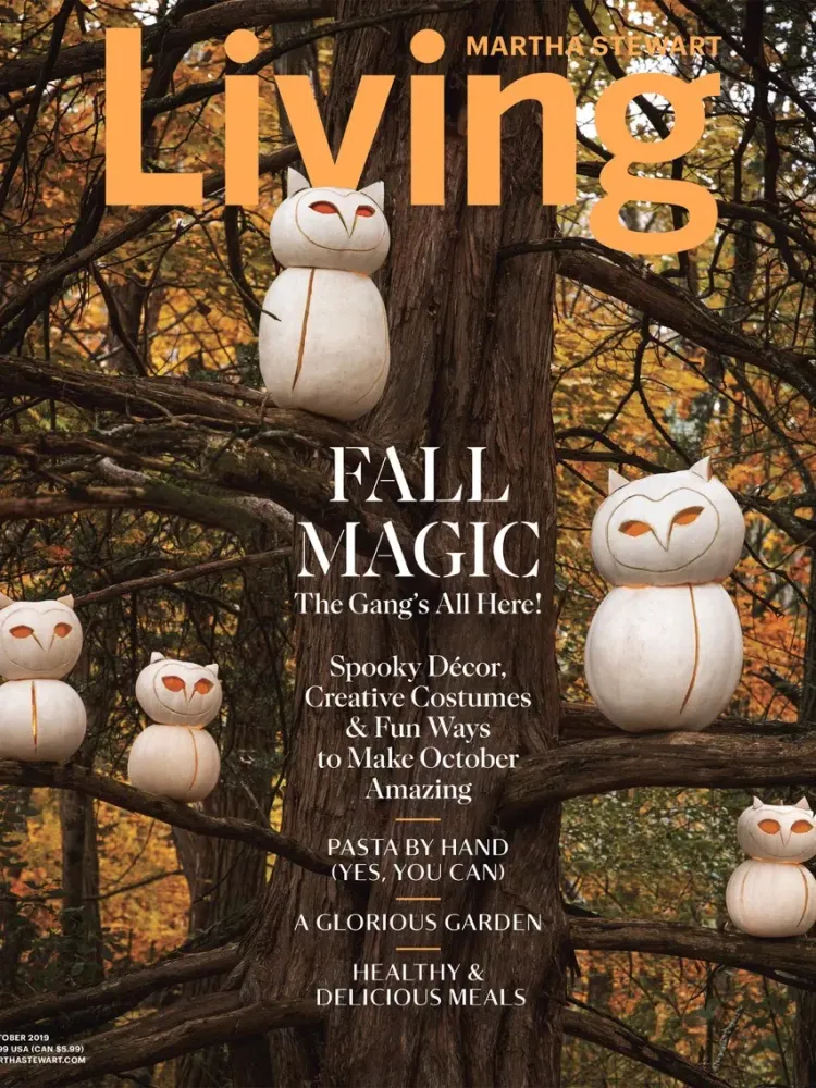 Zrzuty ekranu Martha Stewart Living iPad 