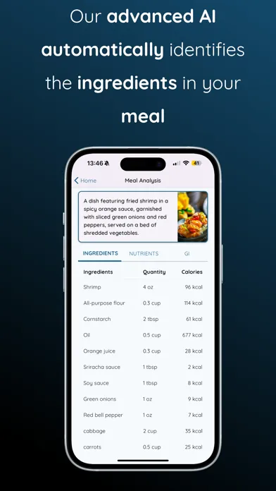 Jellyfish AI Calorie Counter Screenshots