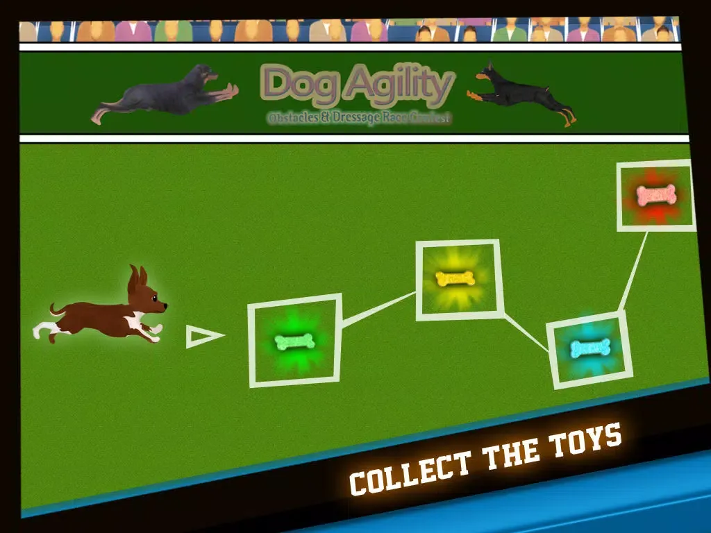 Dog Agility Obstacles Dressage Race Contest - Free Edition iPad  Screenshots