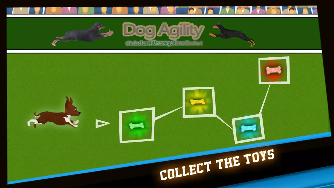 Dog Agility Obstacles Dressage Race Contest - Free Edition Screenshots