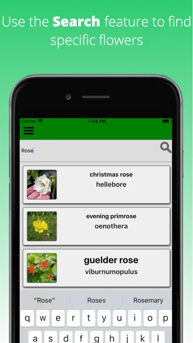 Zrzuty ekranu Flowers Dictionary