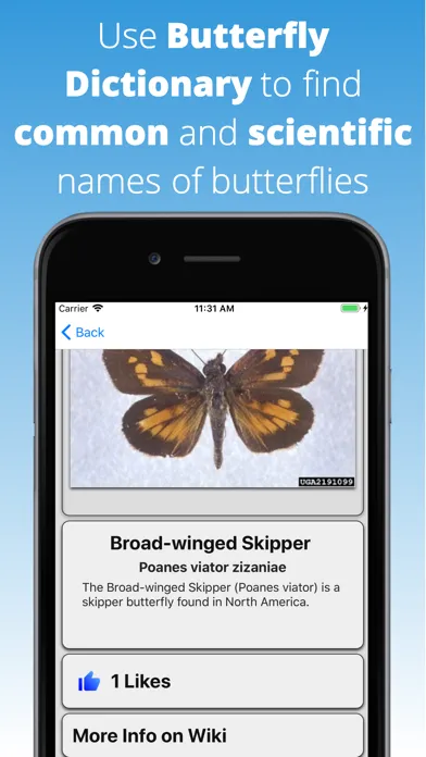 Butterfly Dictionary স্ক্রিনশট