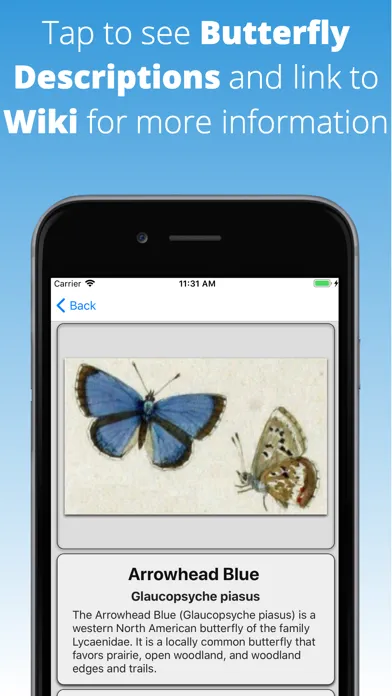 Butterfly Dictionary স্ক্রিনশট