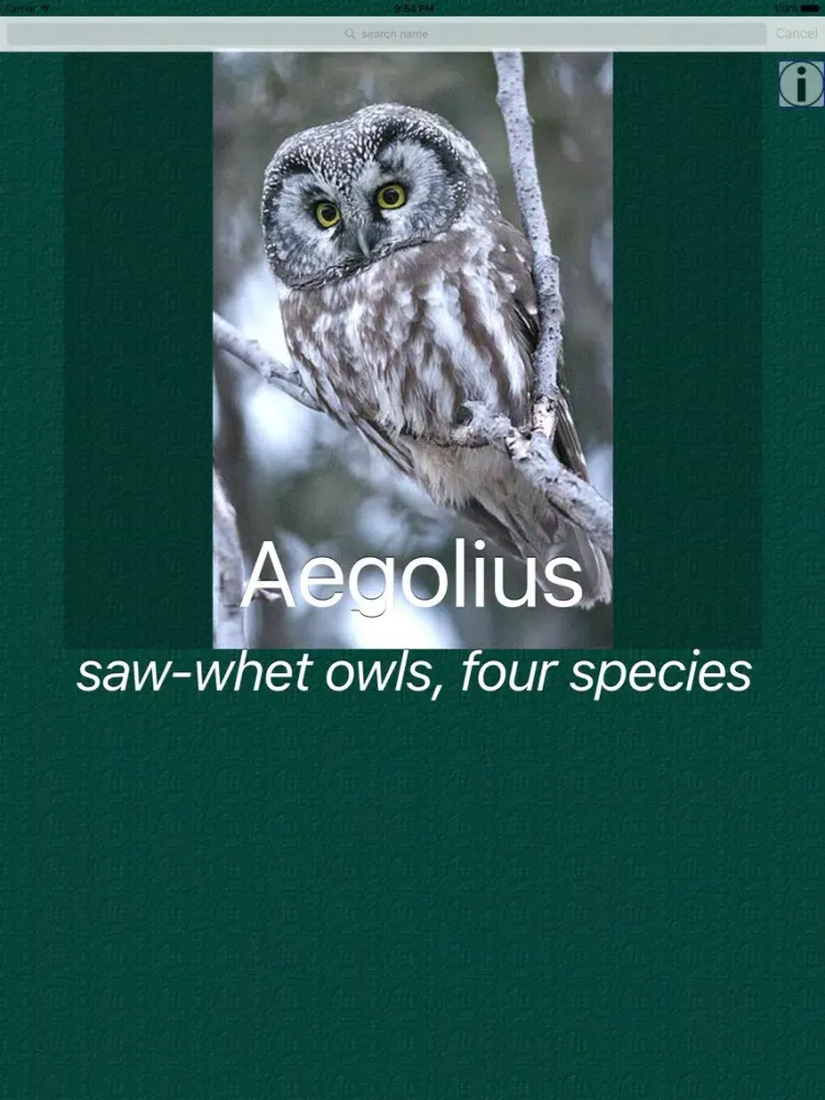 Owl Dictionary Pro iPad 應用截圖