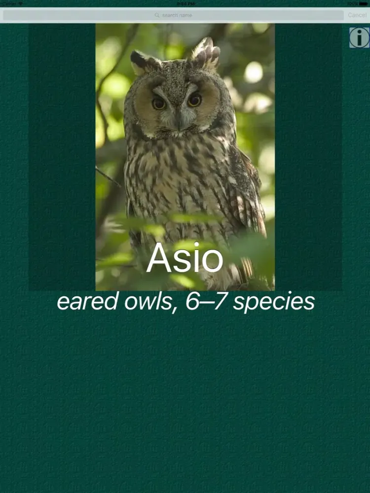Owl Dictionary Pro iPad 應用截圖