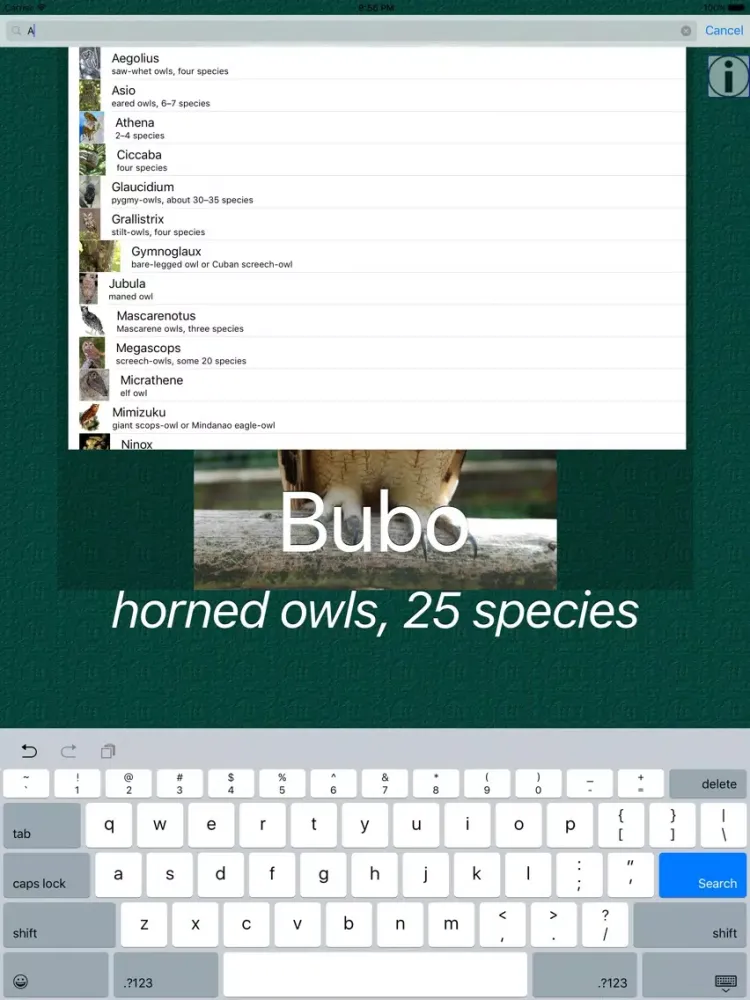 Owl Dictionary Pro iPad 應用截圖