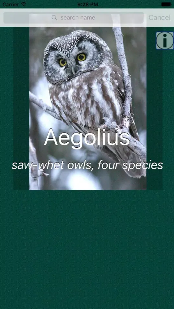 Owl Dictionary Pro應用截圖