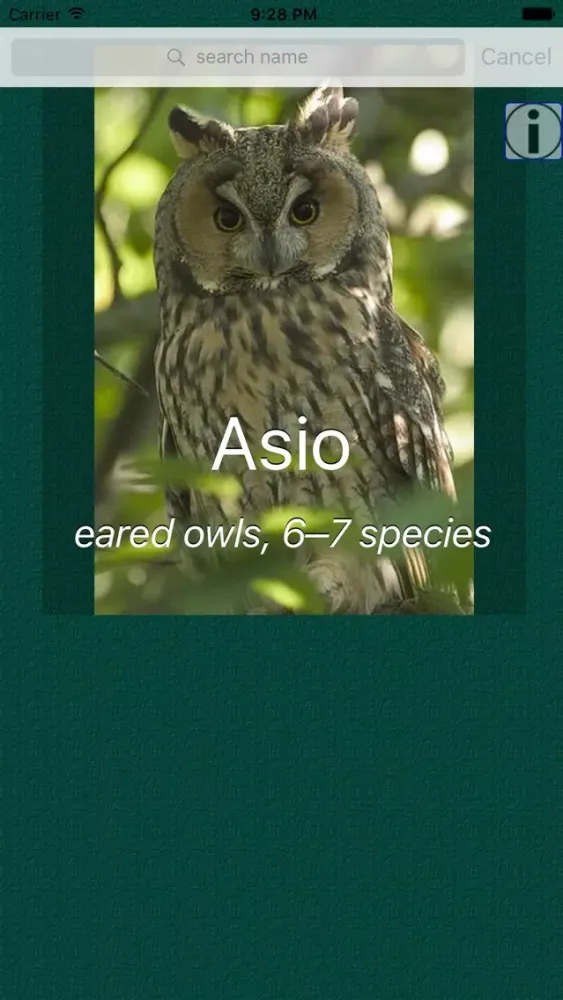 Owl Dictionary Pro應用截圖