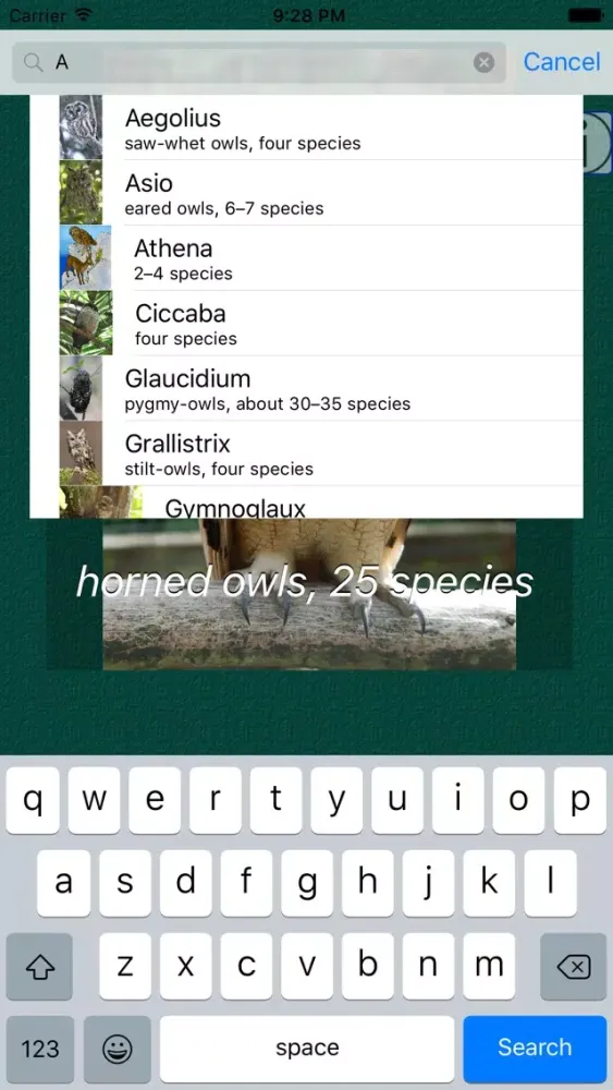 Owl Dictionary Pro應用截圖