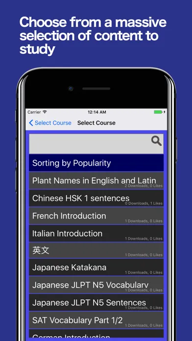 Learn Japanese Begin JLPT N5 スクリーンショット