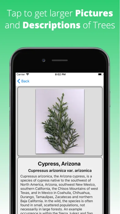 Tree Dictionary Ekran Görüntüleri