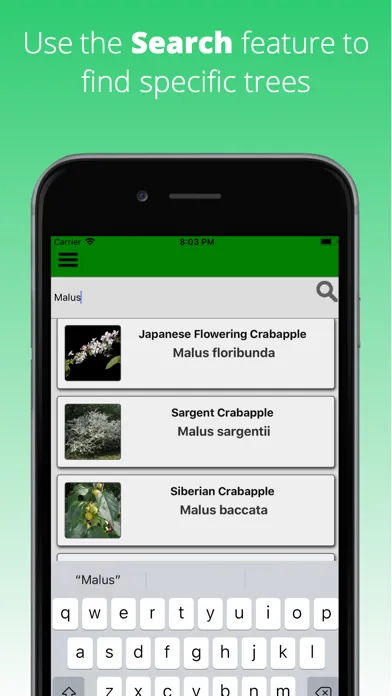 Tree Dictionary Ekran Görüntüleri