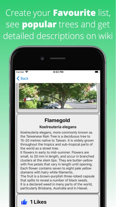 Tree Dictionary Ekran Görüntüleri