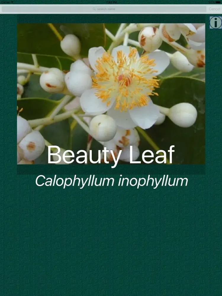 Tree Dictionary Pro iPad  سکرین شاٹس