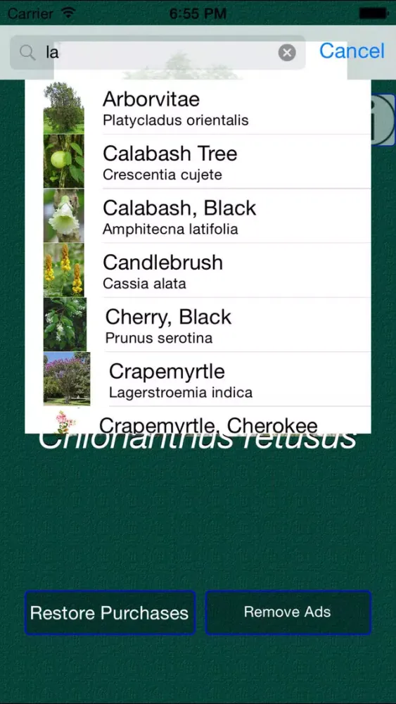 Tree Dictionary Pro سکرین شاٹس