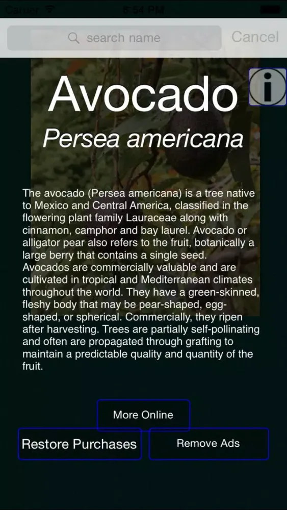 Tree Dictionary Pro سکرین شاٹس