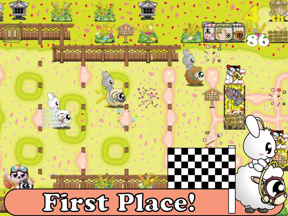 Sheepo Race - PPBunny Rider iPad  স্ক্রিনশট