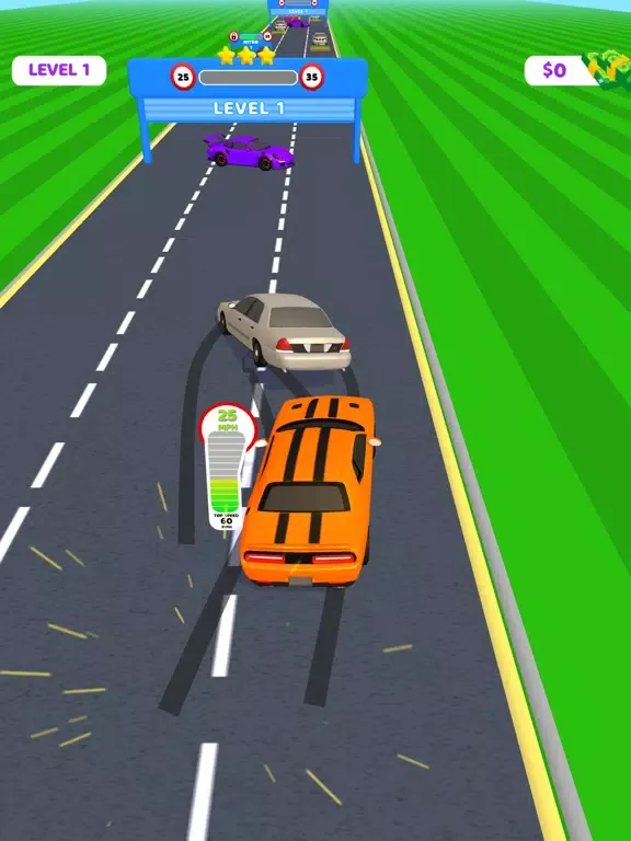 Overtake Car iPad  स्क्रीनशॉट