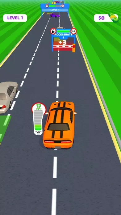 Overtake Car स्क्रीनशॉट