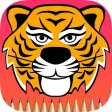 The Tiger Coloring Book: Learn to draw and color cheetah, panther and more
