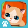 My Sweet Cat - Take Care of your cat