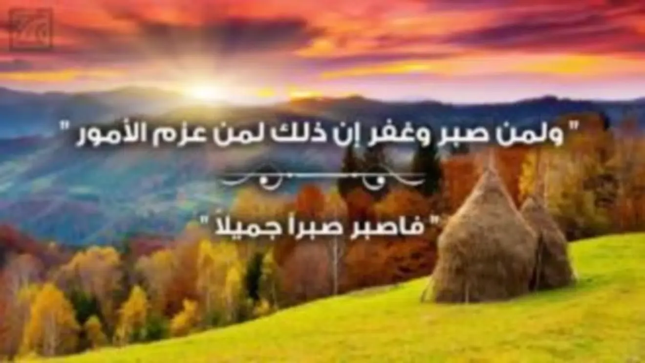 قصص الأنبياء فيديو - بدون أنترنت Screenshots