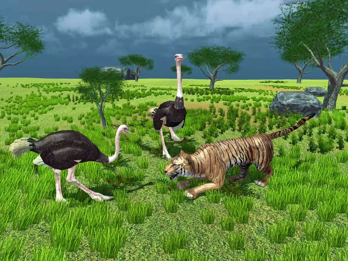 Furious Ostrich Simulator iPad 應用截圖