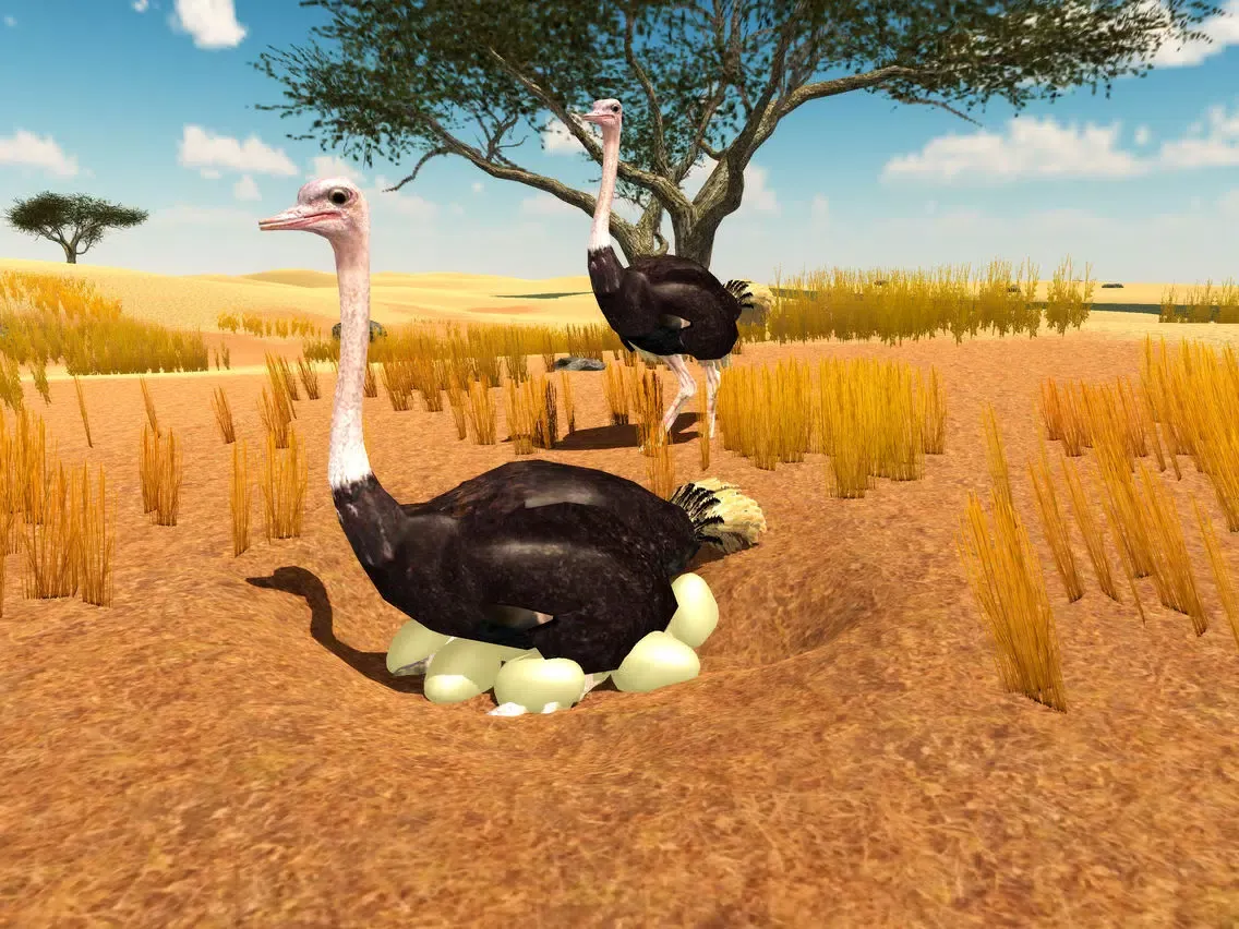 Furious Ostrich Simulator iPad 應用截圖