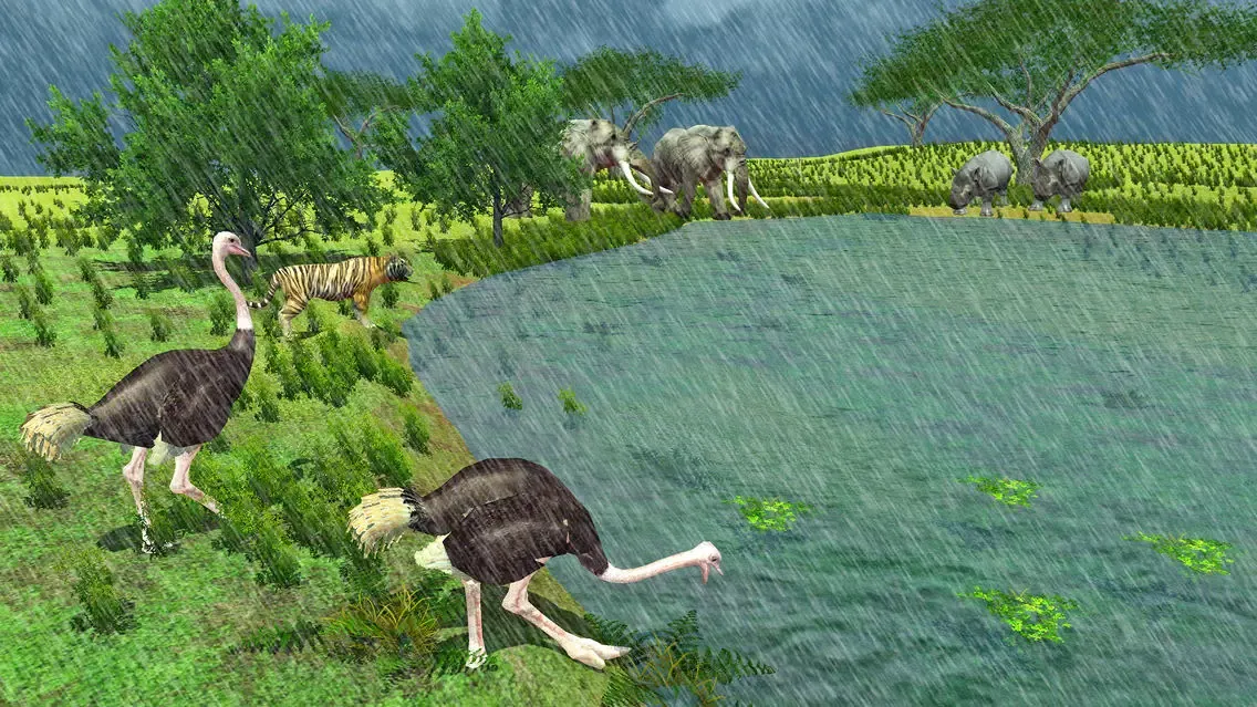 Furious Ostrich Simulator應用截圖