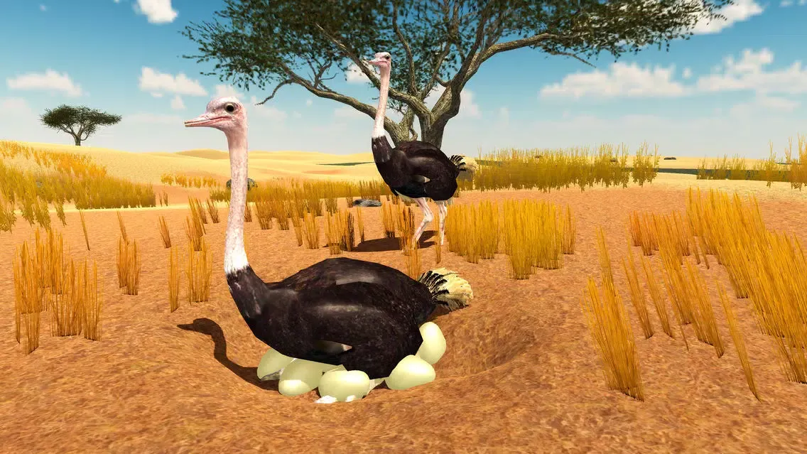 Furious Ostrich Simulator應用截圖