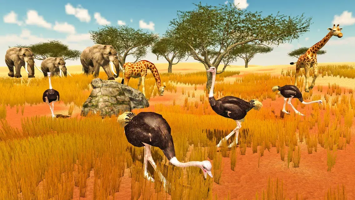 Furious Ostrich Simulator應用截圖