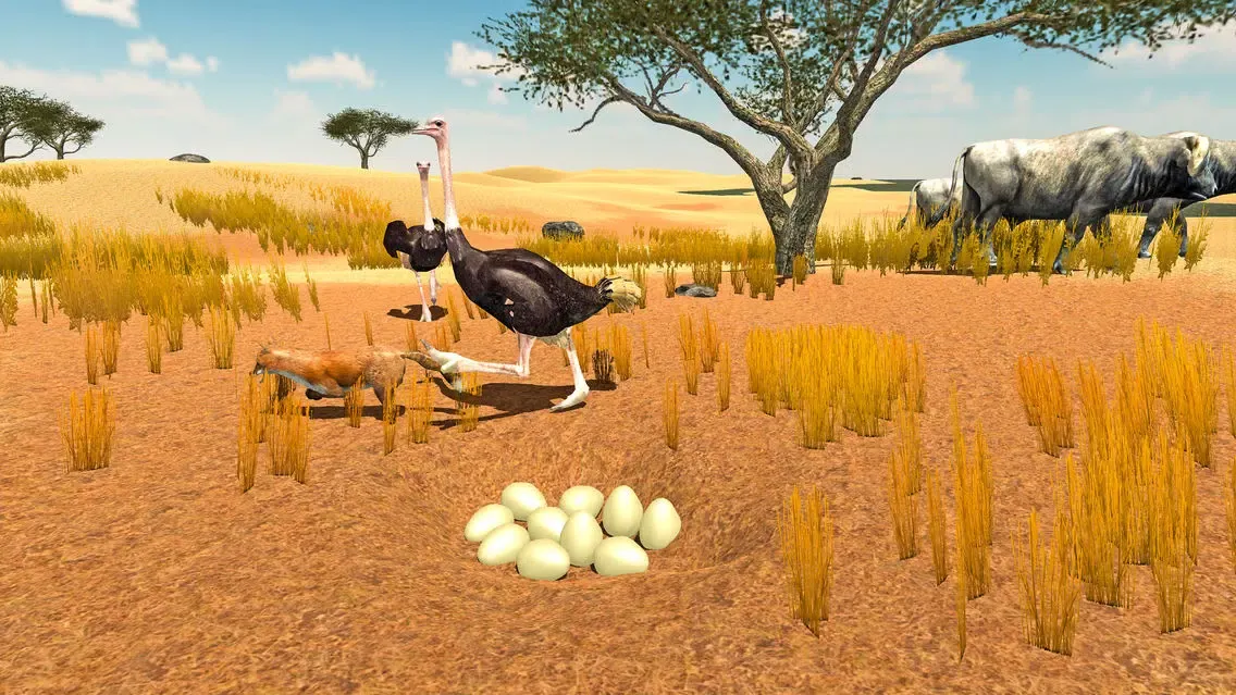 Furious Ostrich Simulator應用截圖