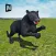 Revenge of Real Black Panther Simulator 3D