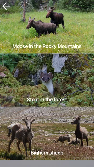 Nature Contents应用截图