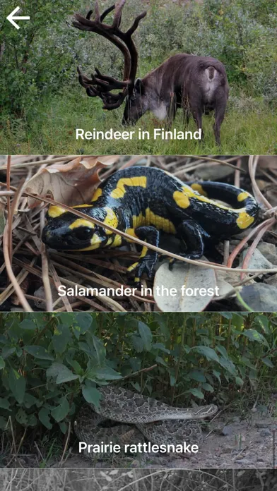 Nature Contents应用截图