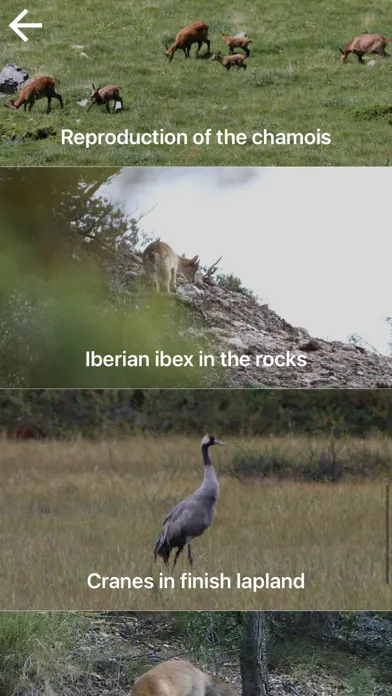 Nature Contents应用截图