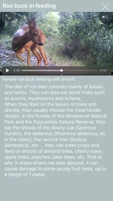 Nature Contents应用截图