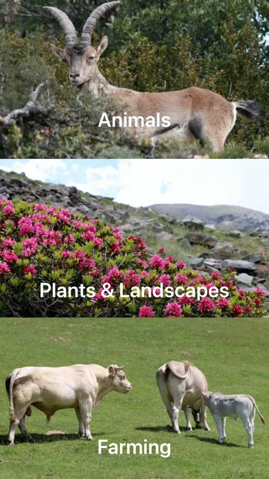 Nature Contents应用截图