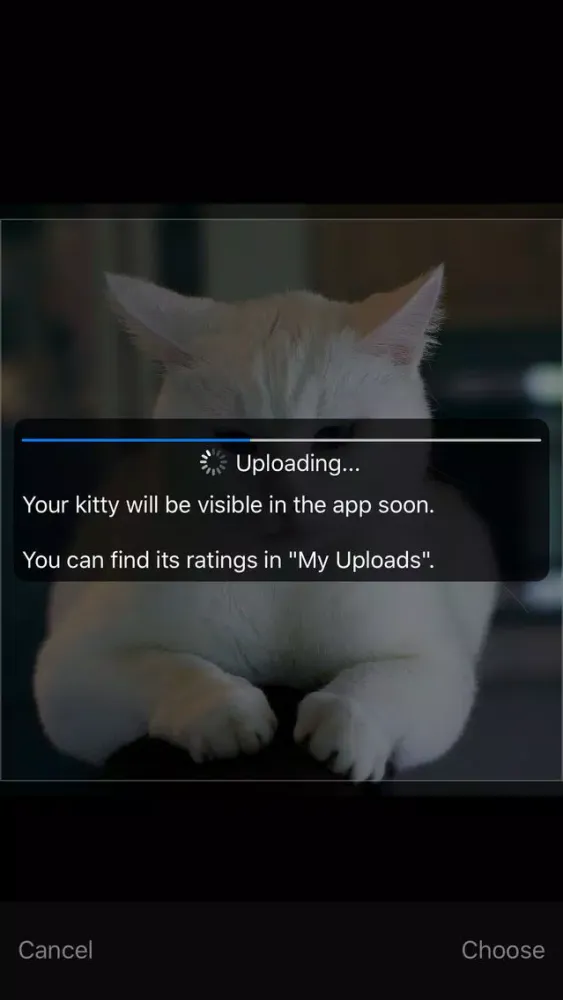 Cute Kitties スクリーンショット
