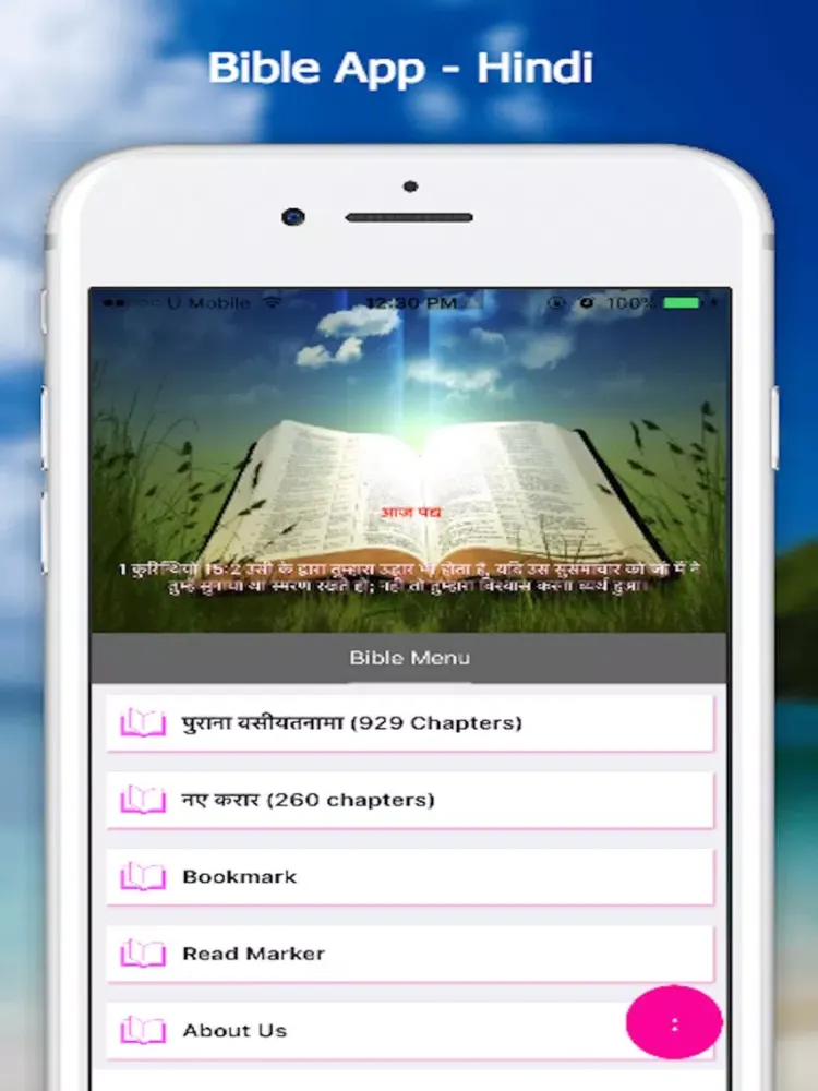 Bible App - Hindi iPad  سکرین شاٹس