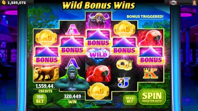 World Class Casino スクリーンショット