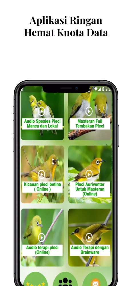 Masteran Burung Pleci Gacor应用截图
