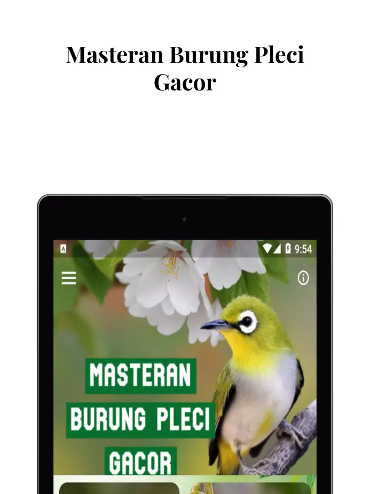 Masteran Burung Pleci Gacor应用截图