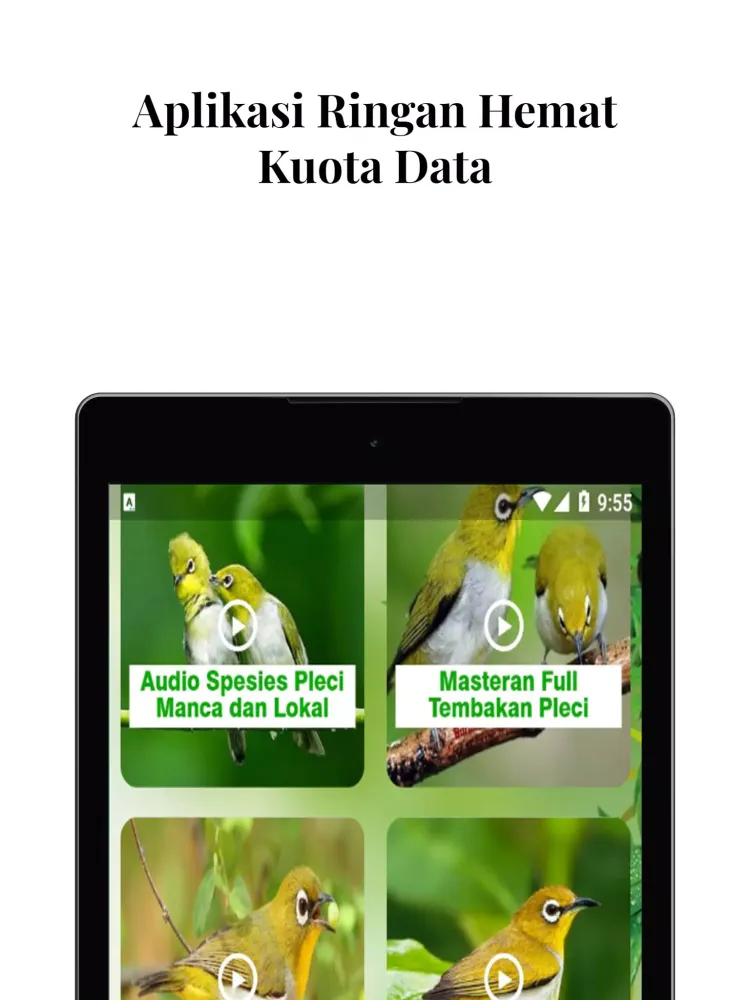 Masteran Burung Pleci Gacor应用截图