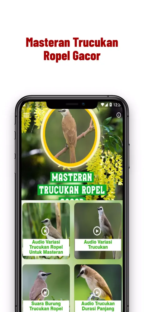 ภาพหน้าจอของ Masteran Trucukan Ropel Gacor
