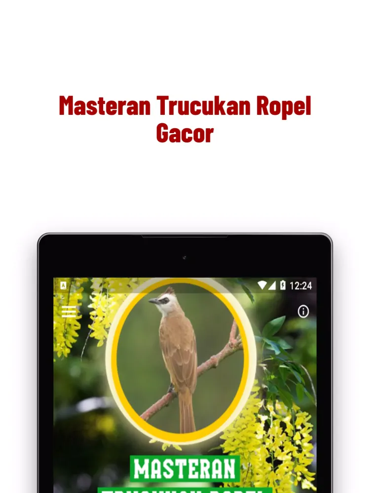 ภาพหน้าจอของ Masteran Trucukan Ropel Gacor